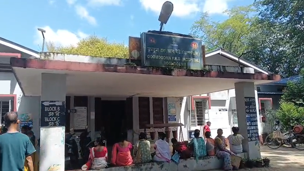 तिनसुकिया के डूमडूमा चाय बागान में दो दर्दनाक हादसे: सांप के काटने से बच्ची और करंट लगने से महिला की मौत